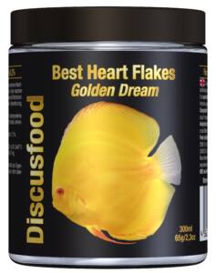 Golden Dream