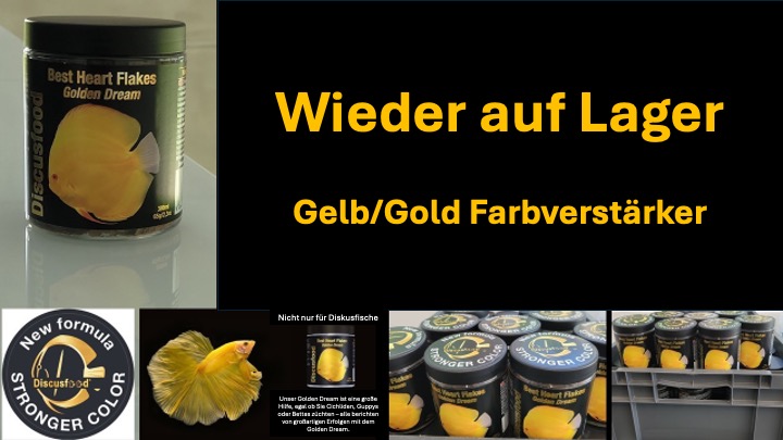 GOLD Wieder auf Lager