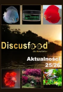 Discusfood News 2025 2026 PL